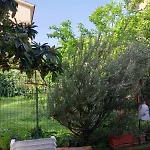 Antica Veio